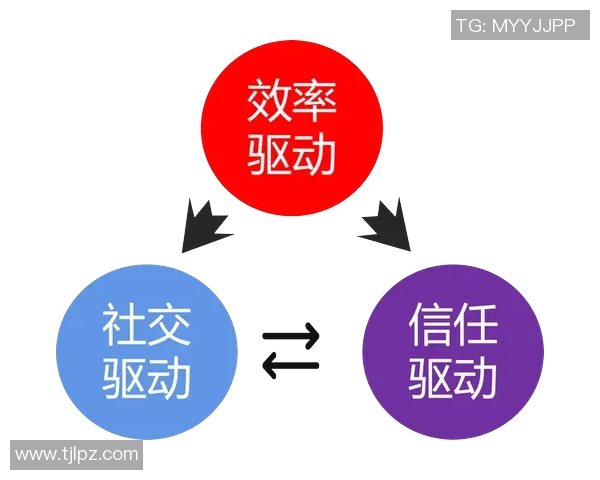 聚焦杭州足球队个人能力提升与团队协作的深度探讨